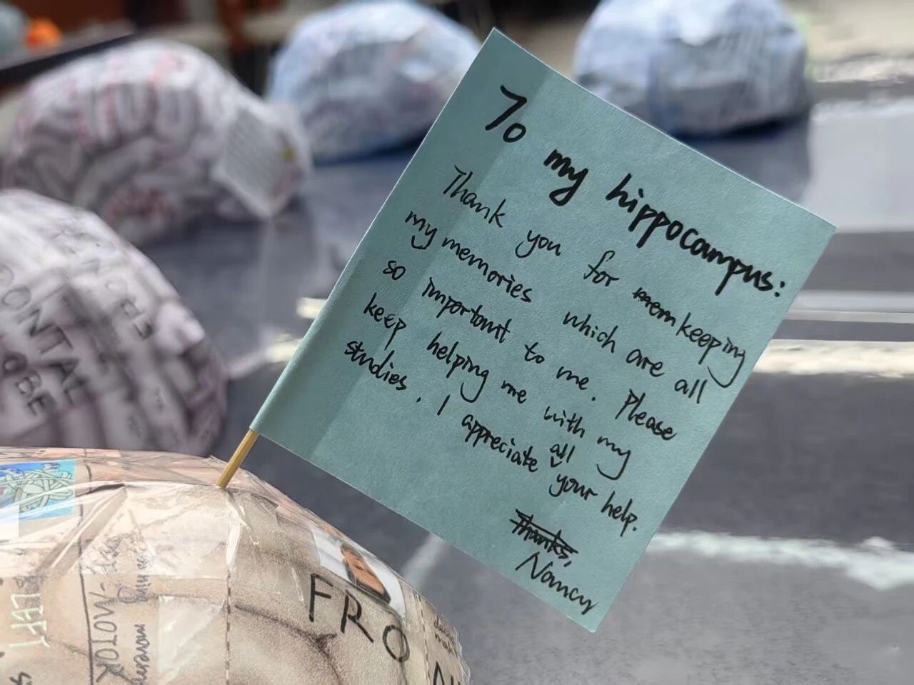 1763017991917726.jpg 微信图片_2025-11-13_151303_137.jpg