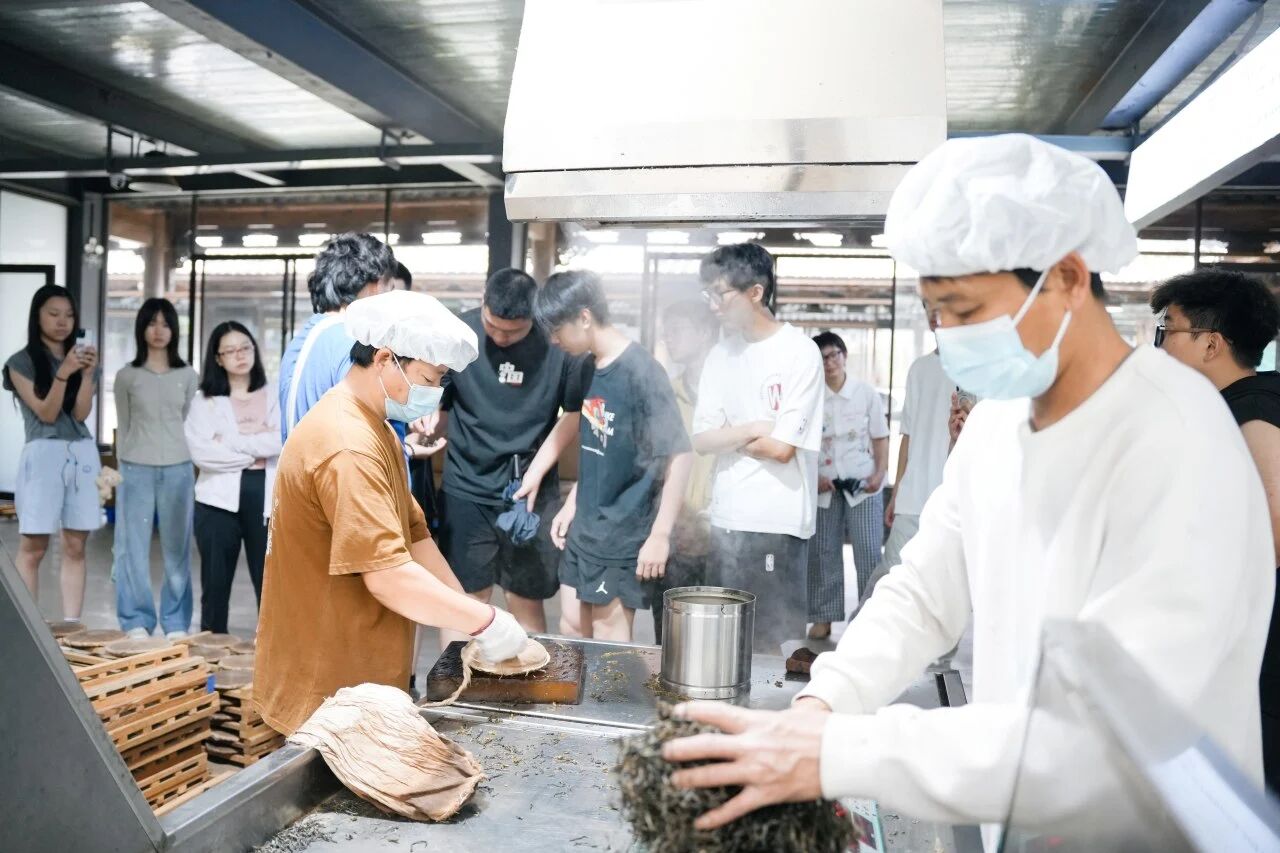 1768204248830168.jpg 2eee2fa07ce10c49bcc1e4dc43ddaa4b.jpg